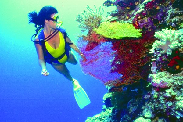 Reise Angebot 8979, Rio de Janeiro und Angra dos Reis Oktober/ November 2019