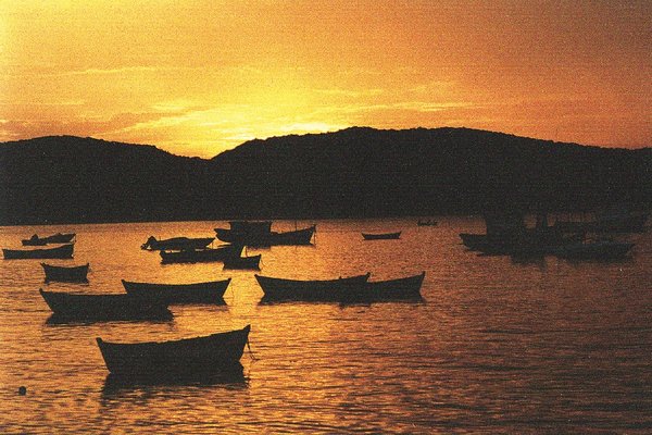 Reise Angebot 8963, Reise Buzios und Bird watching