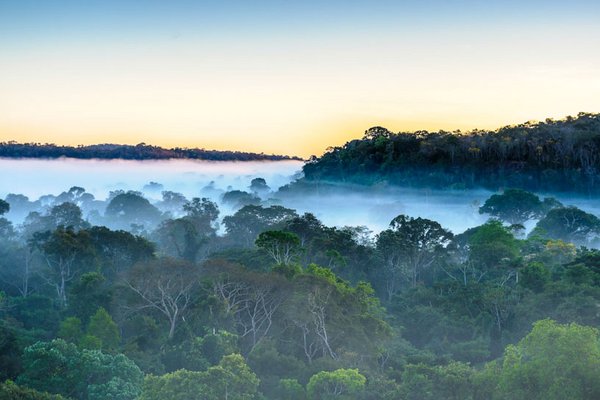 Reise Angebot 8951, Rundreise Brasilien März 2020