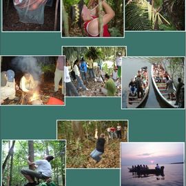 Amazonas Survival Highlights