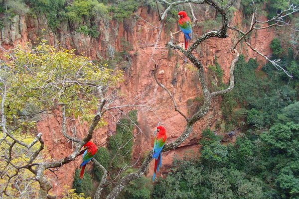 Reise Angebot 9324 - Familien Rundreise Brasilien April/ Mai 2023