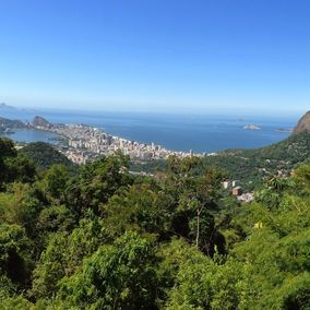 Vista chinesa Tijuca Regenwald Rio de Janeiro