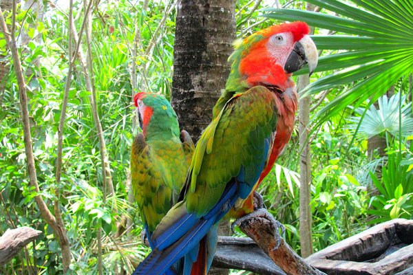 Reise Angebot 9365 Rundreise Brasilien Oktober 2023